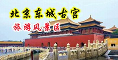 操美女嫩逼泬中国北京-东城古宫旅游风景区